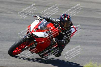 media/Mar-12-2022-SoCal Trackdays (Sat) [[152081554b]]/Bowl Set 2 (1025am)/